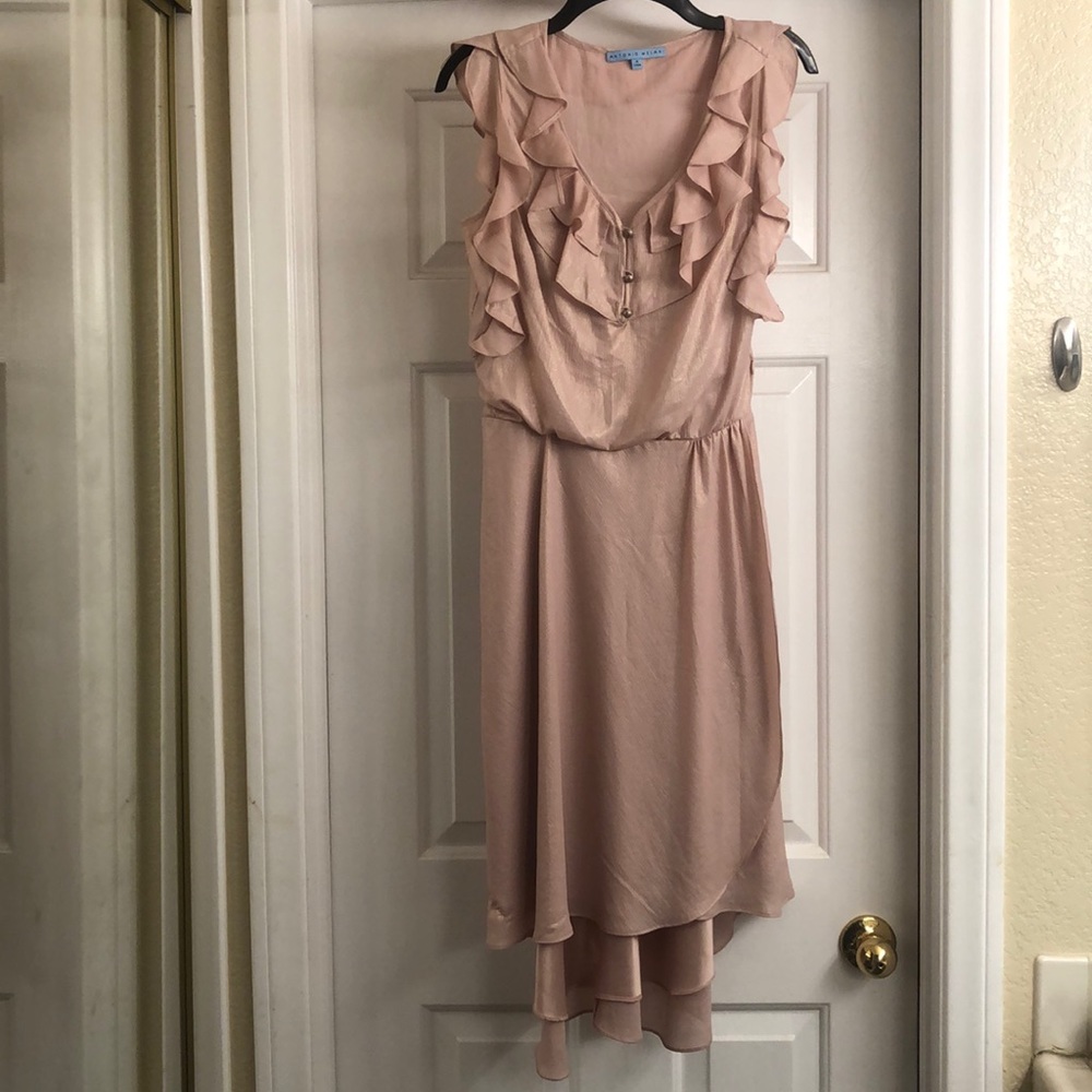 Antonio Melani dress